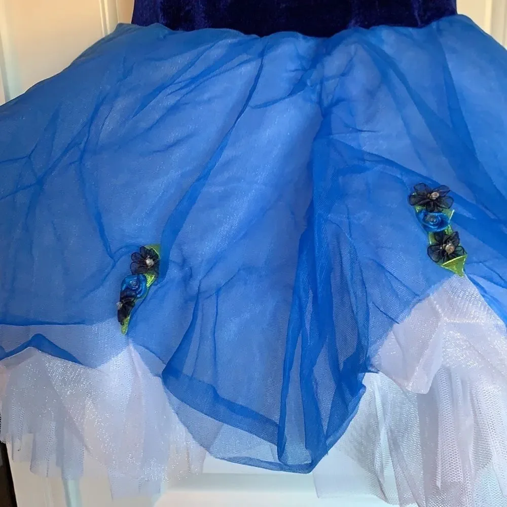 Gorgeous DANCE COSTUME Blue White Child's Ballet Tutu Pretty Flowers